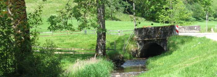 Hausansicht Wirtshisli